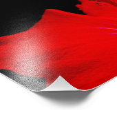 Red Hibiscus Foto Afdruk (Hoek)