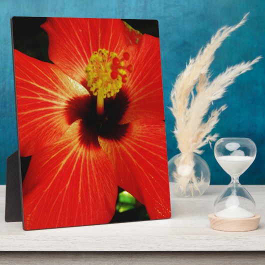 Red Hibiscus Fotoplaat (Zijkant)