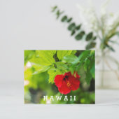 Red Hibiscus Hawaii Tropische Bloem Briefkaart (Staand voorkant)