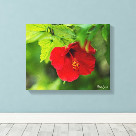 Red Hibiscus Hawaii Tropische Bloem Canvas Afdruk (Insitu (Houten vloer))