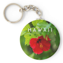 Red Hibiscus Hawaii Tropische Bloem