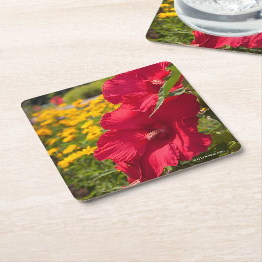 Red Hibiscus Kartonnen Onderzetters (Schuin)