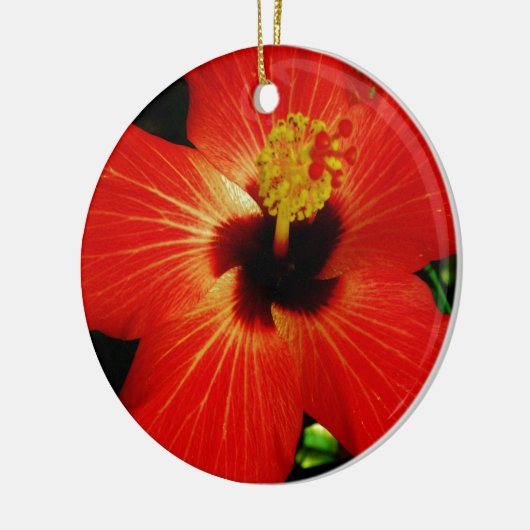 Red Hibiscus Keramisch Ornament (Links)