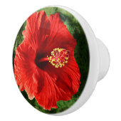 Red Hibiscus Keramische Knop (Rechts)
