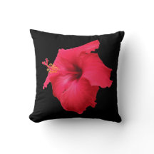 Red Hibiscus