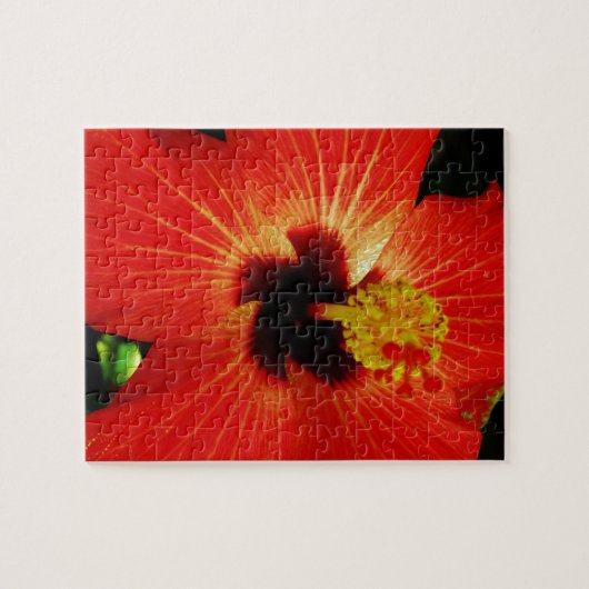 Red Hibiscus Legpuzzel (Horizontaal)