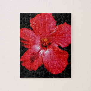 Red Hibiscus Legpuzzel