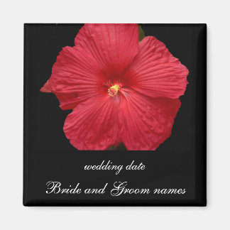 Red Hibiscus Magneet
