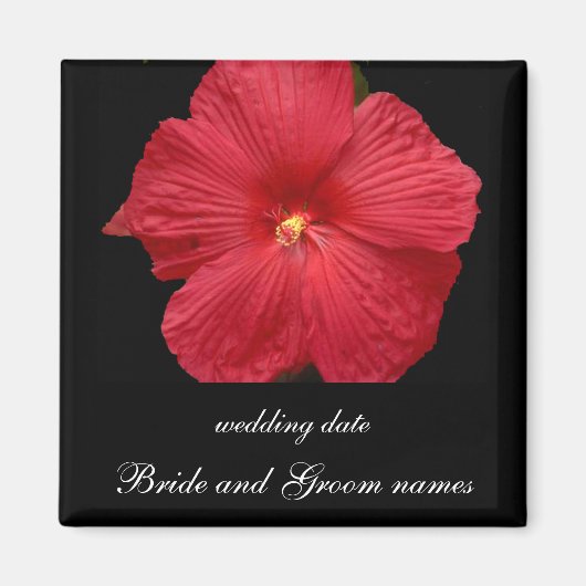 Red Hibiscus Magneet (Voorkant)