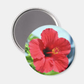 Red Hibiscus Magnet (Voorkant / Achterkant)