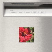 Red Hibiscus Magnet (Insitu (Vaatwasser))
