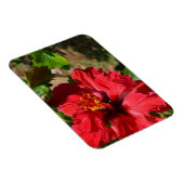 Red Hibiscus Magnet Magneet (Rechterzijde)