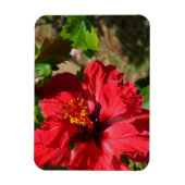 Red Hibiscus Magnet Magneet (Verticaal)