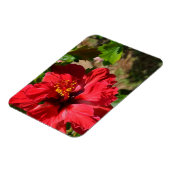 Red Hibiscus Magnet Magneet (Linkerzijde)