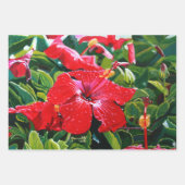 Red Hibiscus Mele Kalikimaka Inpakpapier Vel (Voorkant 3)