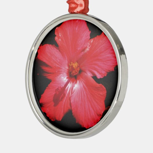 Red Hibiscus Metalen Ornament (Links)