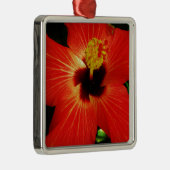Red Hibiscus Metalen Ornament (Rechts)