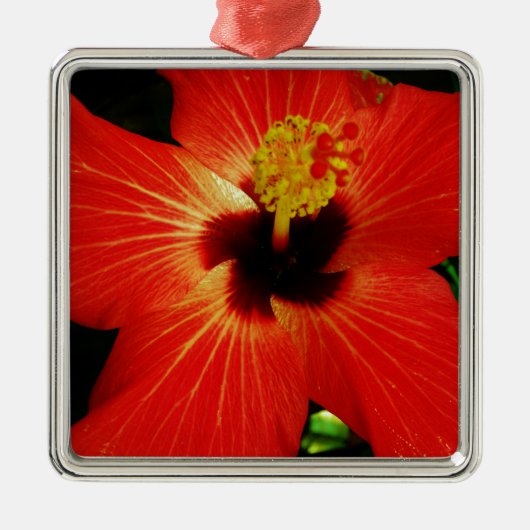 Red Hibiscus Metalen Ornament (Voorkant)