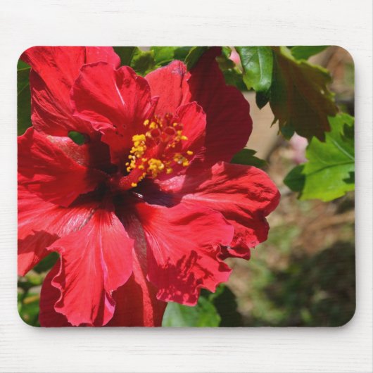 Red Hibiscus Muismat (Voorkant)
