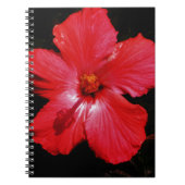 Red Hibiscus Notitieboek (Voorkant)