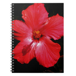 Red Hibiscus Notitieboek