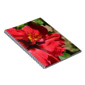 Red Hibiscus Notitieboek (Rechterzijde)