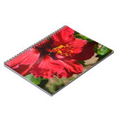 Red Hibiscus Notitieboek (Linkerzijde)