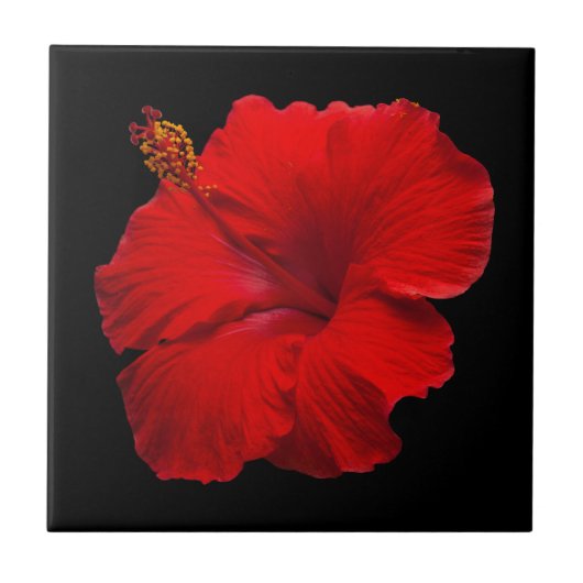 Red Hibiscus on Black - Gepersonaliseerd Sjabloon Tegeltje (Voorkant)