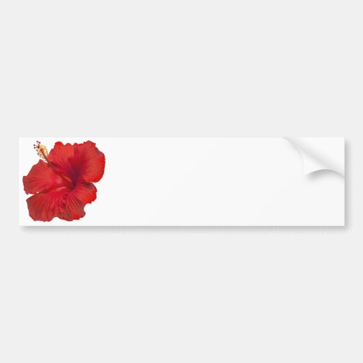 Red Hibiscus on White - Gepersonaliseerd Sjabloon Bumpersticker (Voorkant)