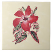 Red Hibiscus op Cream Tropical Tile 6x6 Tegeltje (Voorkant)