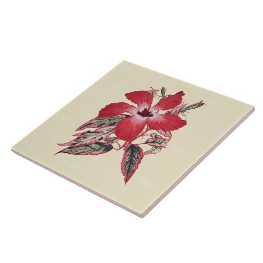 Red Hibiscus op Cream Tropical Tile 6x6 Tegeltje (Zijkant)