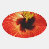 Red Hibiscus Ovale Sticker (Voorkant)