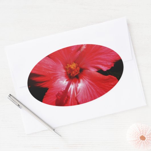 Red Hibiscus Ovale Sticker (Envelop)
