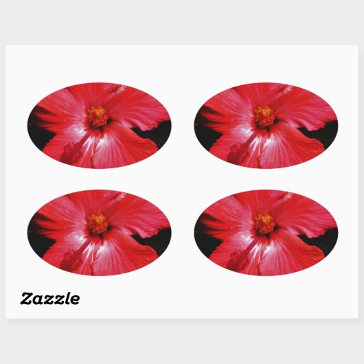 Red Hibiscus Ovale Sticker (Vel)