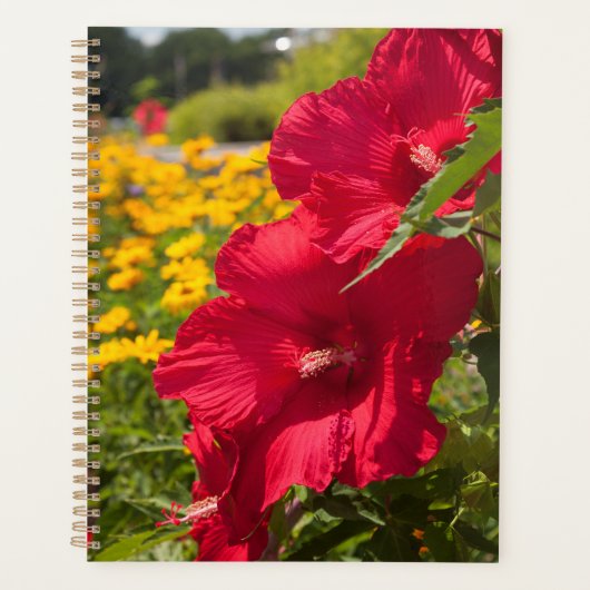Red Hibiscus Planner (Voorkant)