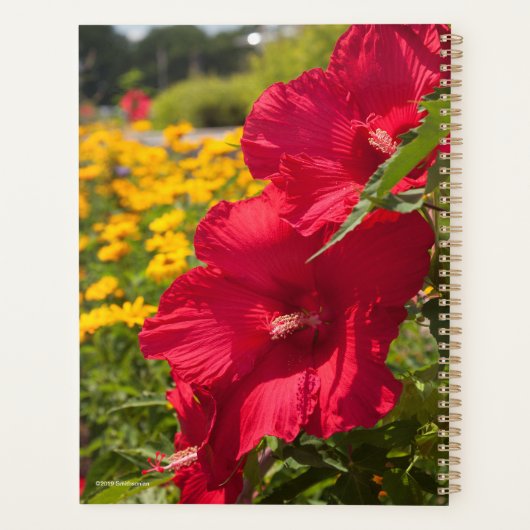 Red Hibiscus Planner (Achterkant)