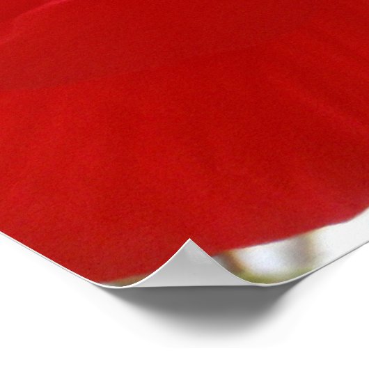 Red Hibiscus Poster (Hoek)