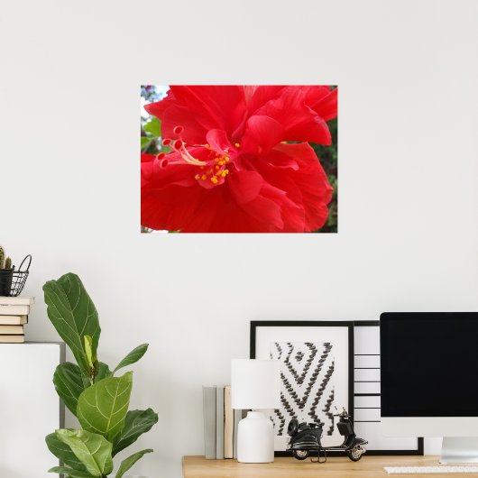 Red Hibiscus Poster (Thuiskantoor)