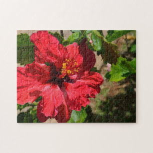 Red Hibiscus Puzzle Legpuzzel