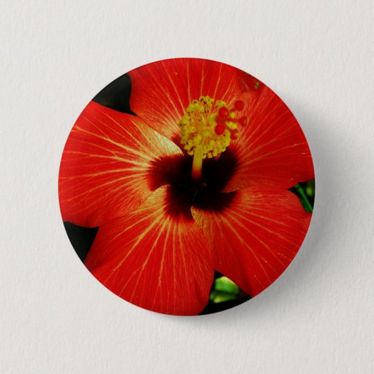 Red Hibiscus Ronde Button 5,7 Cm (Voorkant)