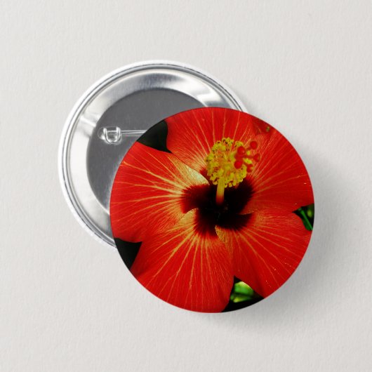 Red Hibiscus Ronde Button 5,7 Cm (Voorkant /achterkant)