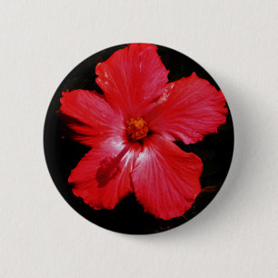 Red Hibiscus Ronde Button 5,7 Cm