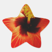 Red Hibiscus Ster Sticker (Voorkant)