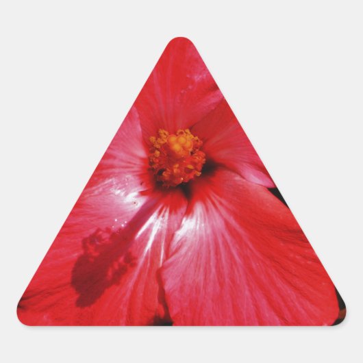 Red Hibiscus Sticker (Voorkant)