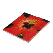 Red Hibiscus Tegeltje (Zijkant)
