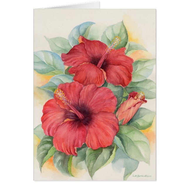 Red Hibiscus Tropical Flower Painting - Multi (Voorkant)