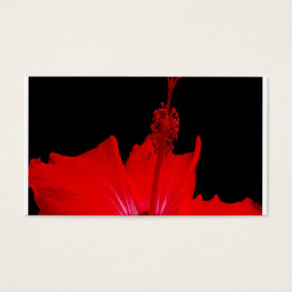 Red Hibiscus Visitekaartjes