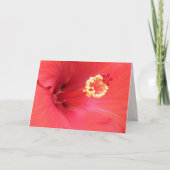 Red Hibiscus Wenskaart Kaart (Voorkant)
