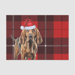 Red Holiday Plaid Christmas Bloodhound Hondenliefh Tissuepapier