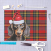 Red Holiday Plaid Smooth Coat Dachshund Christmas Tissuepapier (Craft)